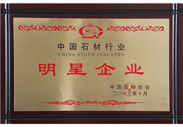 明星企業(yè)